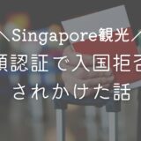 海外の入国審査でパスポート顔認証が通らなかった体験談！警察に連行されちゃった｜シンガポールに入国できない？
