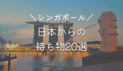 【駐在・留学・移住】シンガポール生活する前に日本から持っていくべきもの20選｜2022年11月の物価も掲載