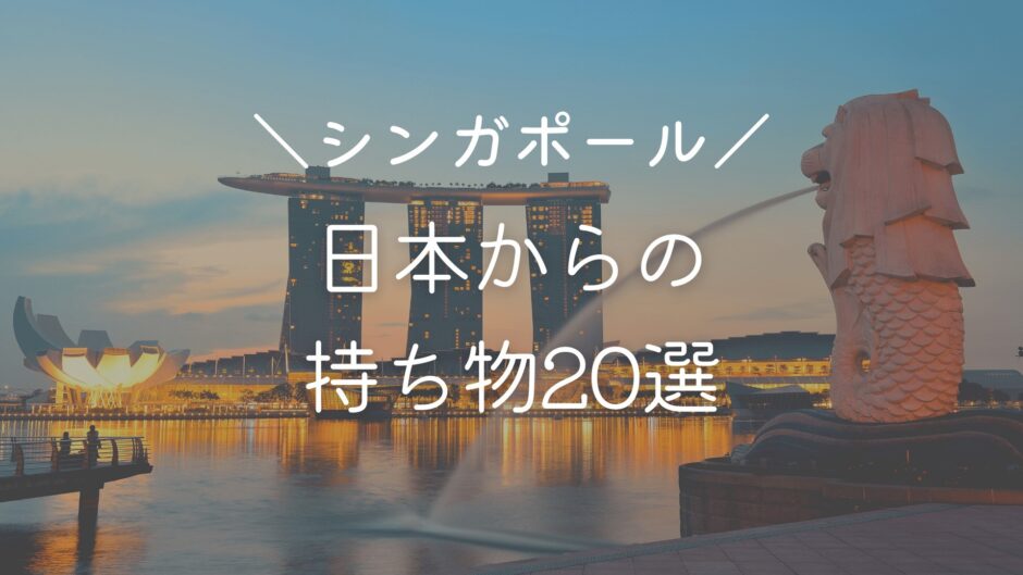 【駐在・留学・移住】シンガポール生活する前に日本から持っていくべきもの20選｜2022年11月の物価も掲載
