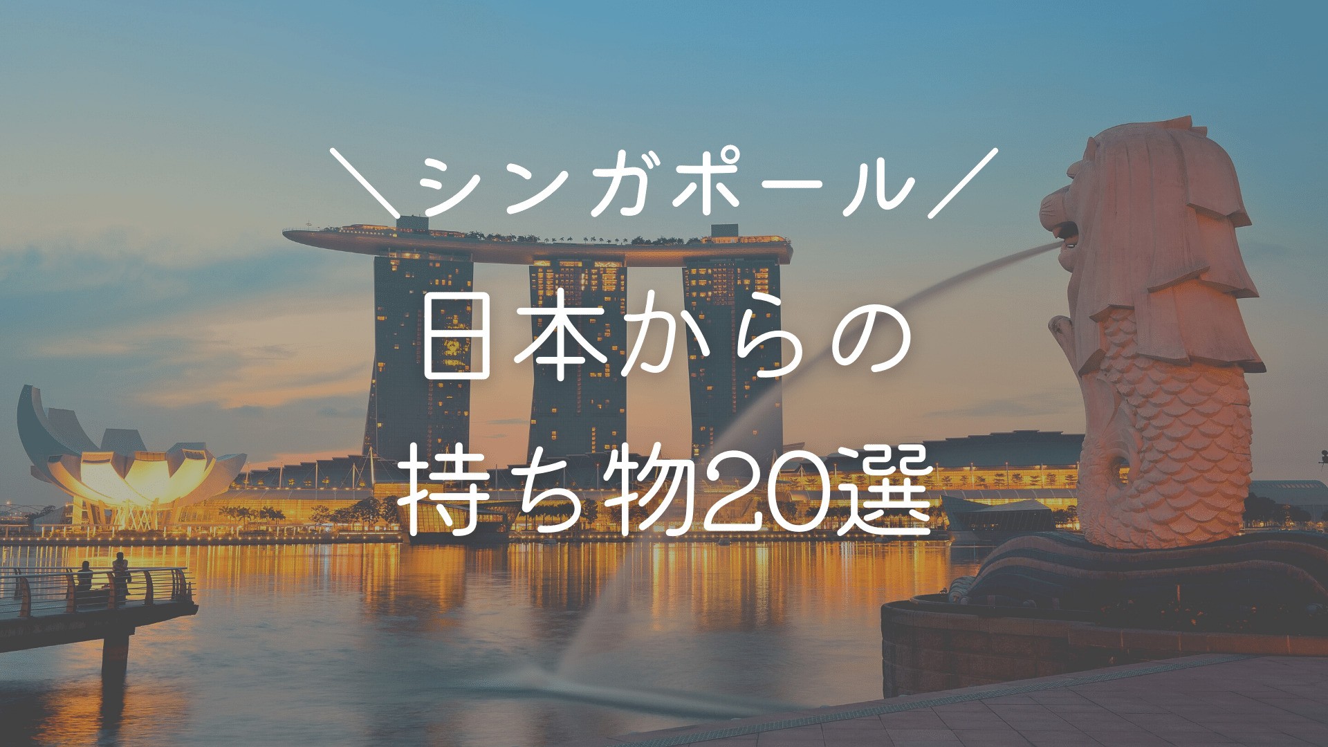 2023年】シンガポール駐在や赴任予定者が持っていくべきもの 22 選